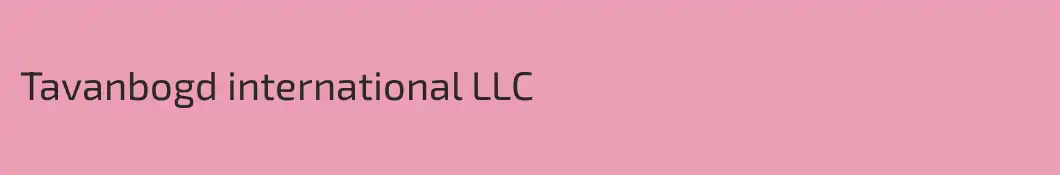 Tavanbogd international LLC